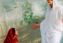 Books About Mary Magdalene