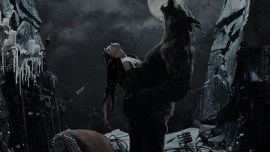 How to write a werewolf character