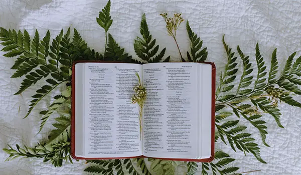 Most Important Books In The Bible
