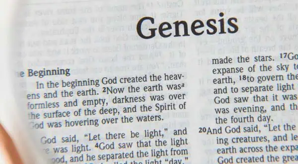 The Book of Genesis